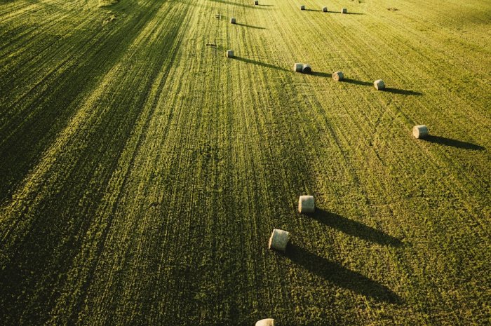 Выдача земель