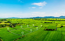 Уточнение границ земельного участка